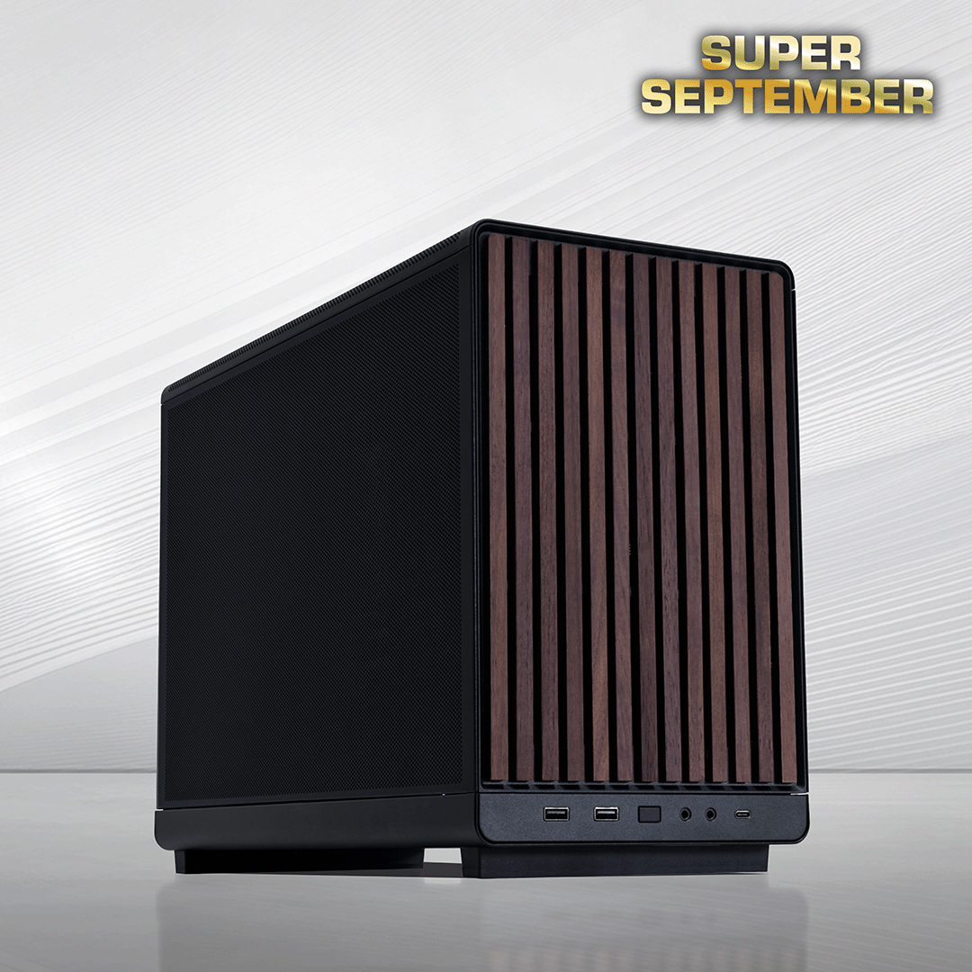 Audio WS Pro