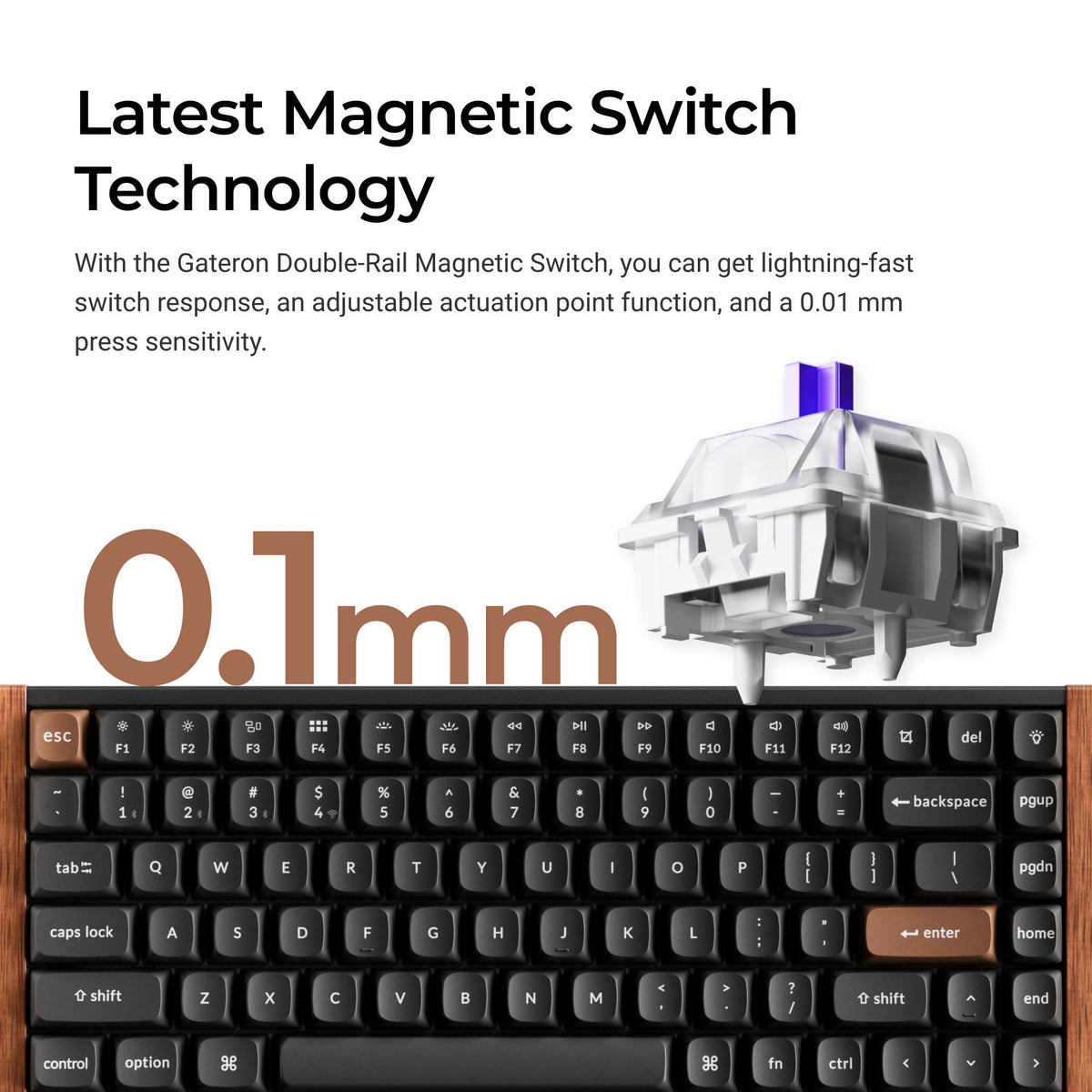 Gateron double-rail magnetic switch