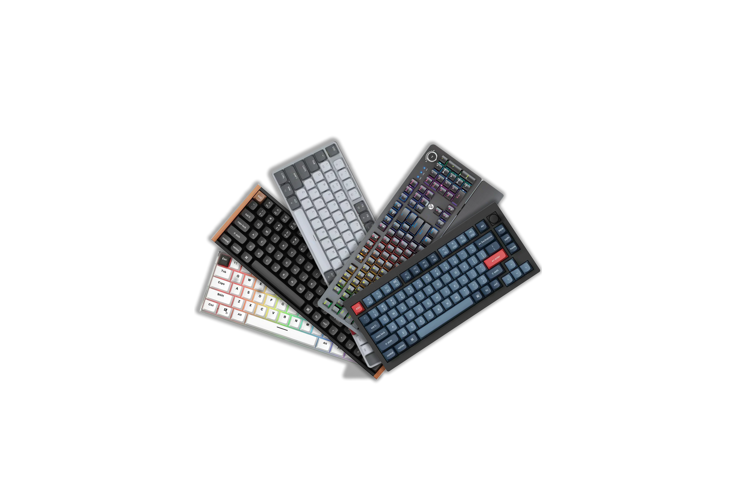 YESTERDAY'S  DEAL: DAY 5